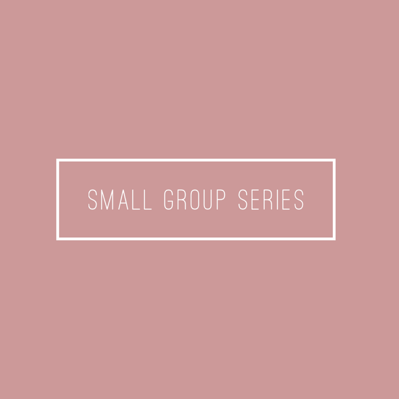 Small Group Series